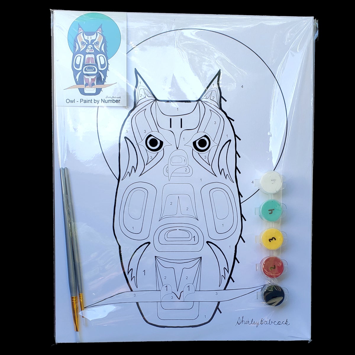 Paint by Number Kit, Owl 